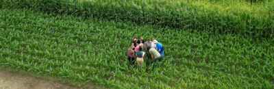 U of G Announces New Master of Sustainable Agriculture Program 