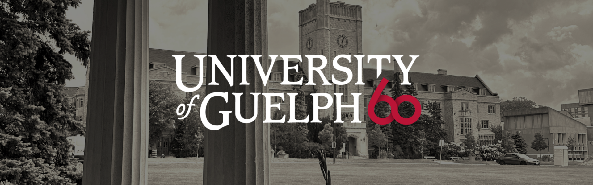 University of Guelph 60. A black and white photo looking at Johnston Hall from across Johnston Green.