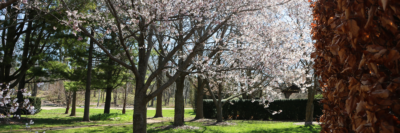 U of G Arboretum Awarded For Conserving Ontario’s Natural History 