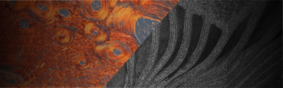 U of G Researchers Among ‘Science Exposed’ Photo Contest Finalists