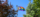 Pride Flag in between trees on U of G campus
