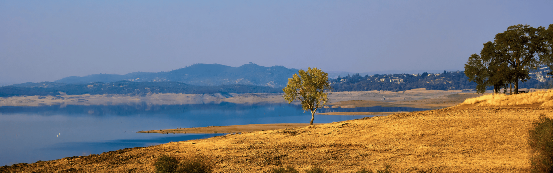 A natural landscape with a lake in the background surrounded by distant hills. The foreground features golden-brown grassland with scattered trees, including one standing alone prominently near the center. The sky is clear with a subtle gradient of blue.