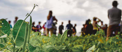 U of G Receives Over $ 16M to Lead National Agri-Food Innovation and Training Platform  