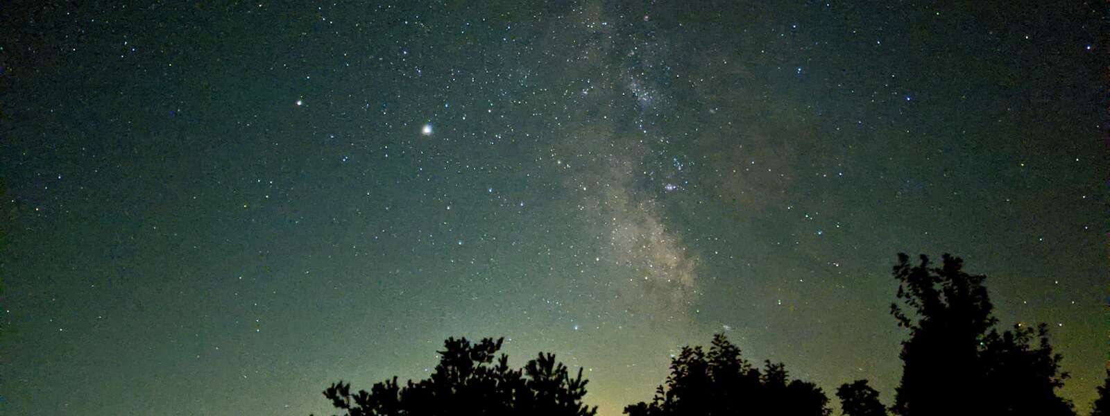 silhouette of trees under starry night