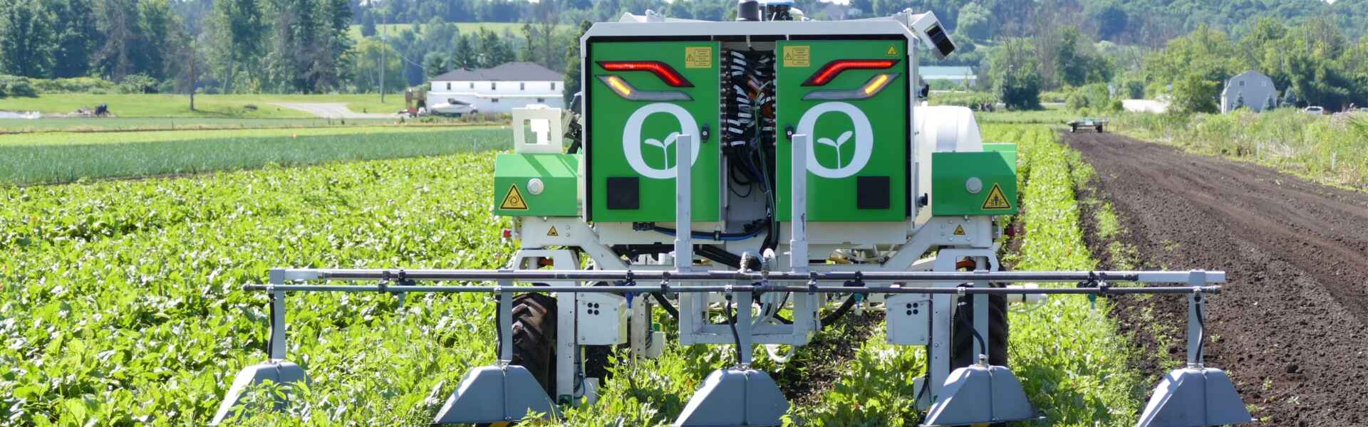Green robot on a field of carrots