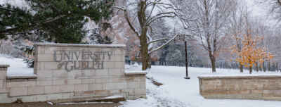 Honouring Holocaust Remembrance Day