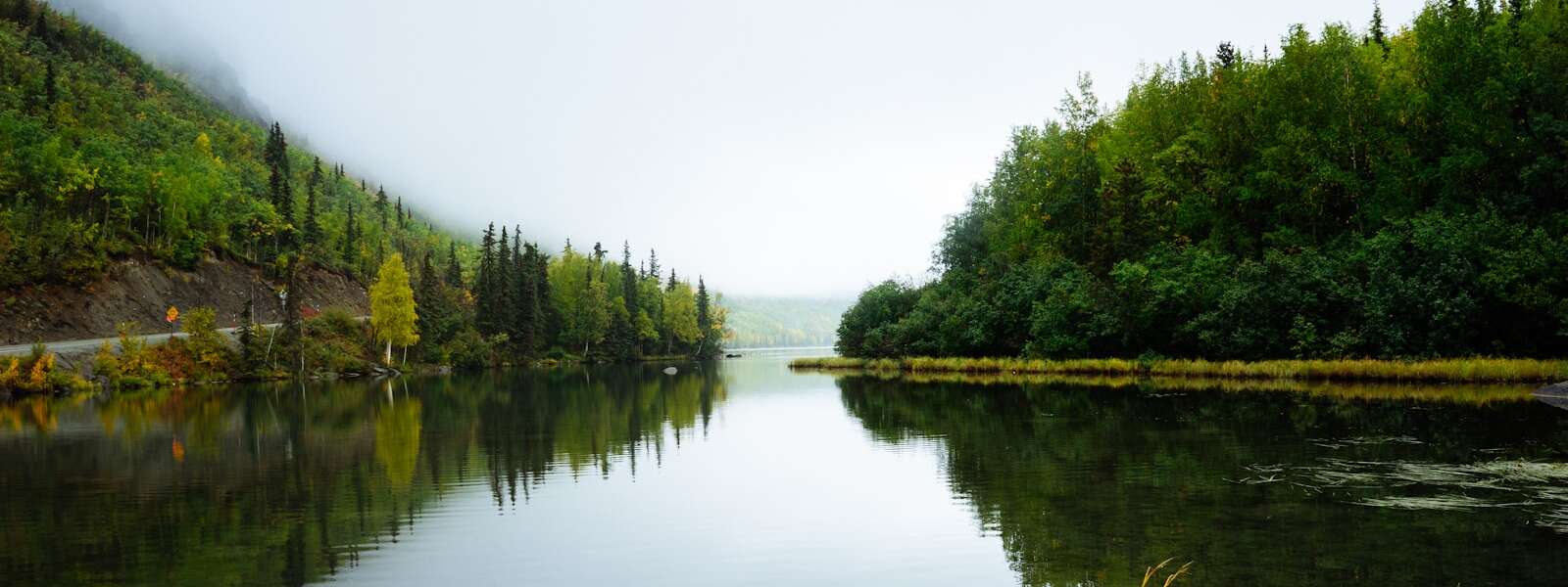 photo taken near body of water surrounded with trees