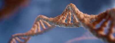 One Person’s Junk: U of G Researcher Explores Alternative Approach to Understanding DNA 