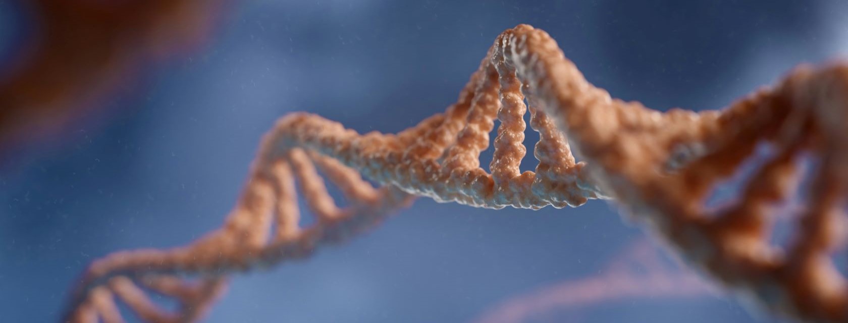 a graphic of the DNA double helix
