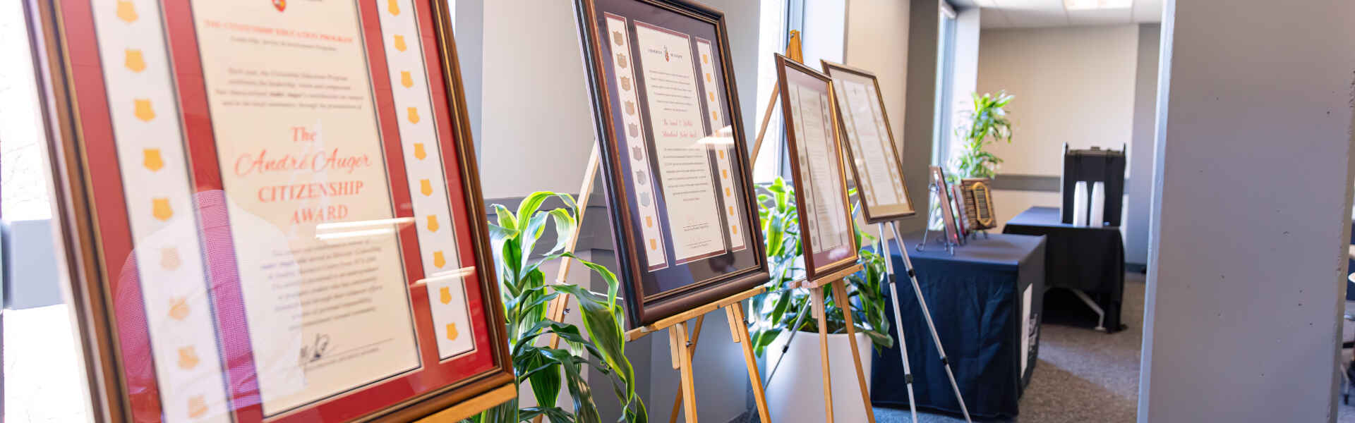 A row of frames that hold the lists of student experience awards line the wall.