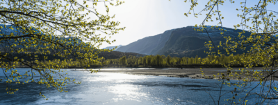 U of G Researchers Explore Techniques to Transform Environmental Monitoring