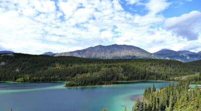 U of G Researchers to Explore Microbial Resistance, Strengthen Indigenous-Led Decision Making and More 