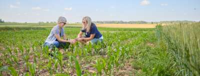 Investing in a Resilient Agri-Food Sector: Province Powering U of G Research With $ 5.4M