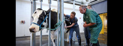 Northern Roots, Veterinary Futures: OVC Welcomes First Northern Cohort  