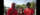 Three U of G students stand in a line wearing red and black Gryphon sports attire and smiling into the camera