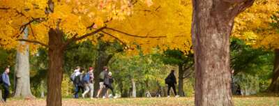 U of G Researchers Launch Next Phase of Community Health Project
