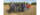 Eight people holding dried bean plants stand in a row in an autumn bean field