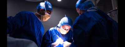 Can Surgery Help Pugs And Bulldogs Breathe Better?  