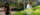 Two students tend to grasses while standing in a greenhouse filled with tropical plants