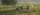 A herd of cows walking towards the photographer in the scenic British countryside.