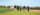 Six people walk across a grassy research field holding flags and sampling tools, with crop plots and trees in the background.