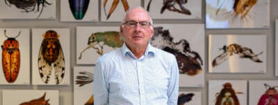 Researcher Awarded More Than $ 9.2M to Transform Biodiversity Genomics Hub