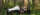 three people stand in the forest by a tent structure