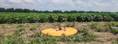 How Ag-Tech is Helping Manage Difficult Growing Conditions