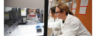 Researchers Identify Natural Compound That Disarms Drug-Resistant Bacteria