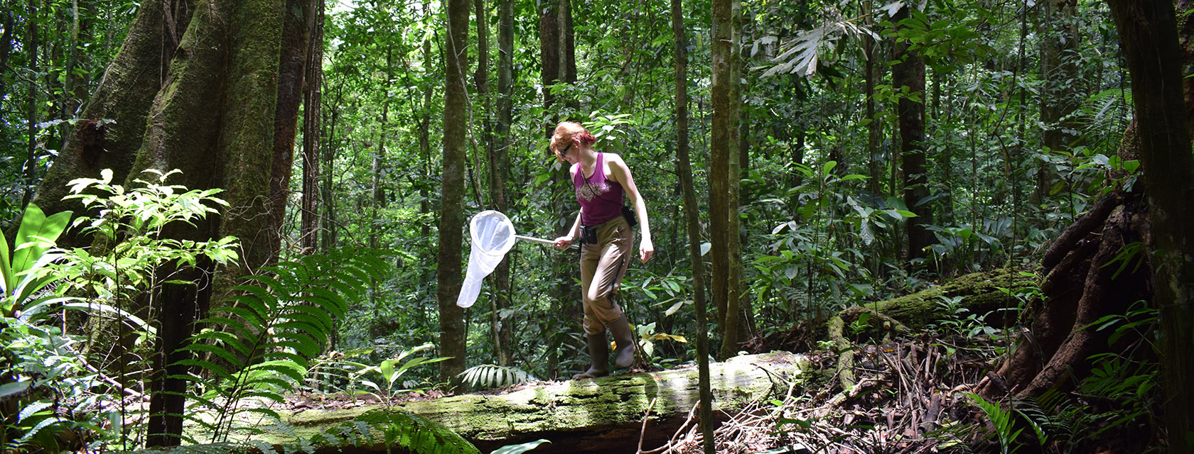A person wearing a purple tank top, brown pants, rubber boots and sunglasses stands in the middle of a forest surrounded by trees holding a white net in one hand.