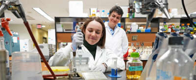 Faster Gene Screening Method Targets Deadly Fungus
