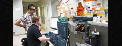 U of G Researchers Identify Potential Drug Target in Tuberculosis Stress-Response System