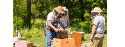 Bee-Lieve It Or Not: 10 Facts About U of G’s Honey Bee Research Centre