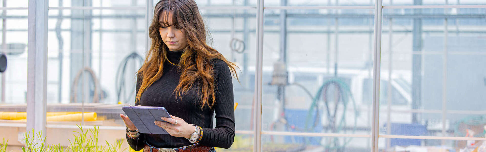 person holds a tablet in a greenhouse surrounded by plants