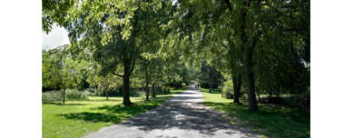 Arboretum Trail Closed for Maintenance Work 