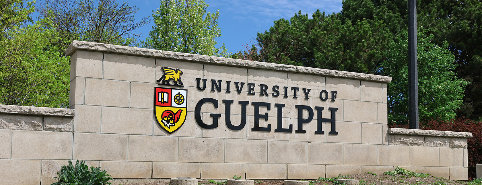 Eight Researchers Honoured with U of G Research Excellence Awards