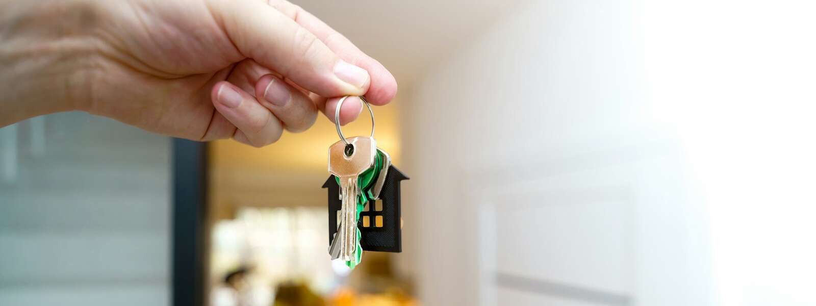U of G, SpacesShared Partner to Expand Student Housing Options