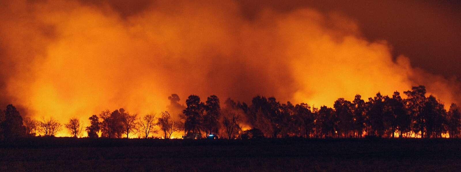 a large fire burning in a field next to a forest