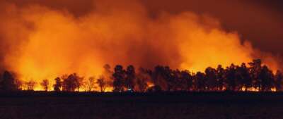 Expert Available: Northern Ontario Wildfires
