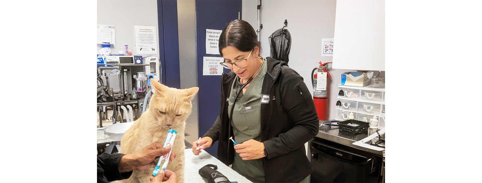OVC Brings Help to Pets During Northern Ontario Wildfire Evacuations