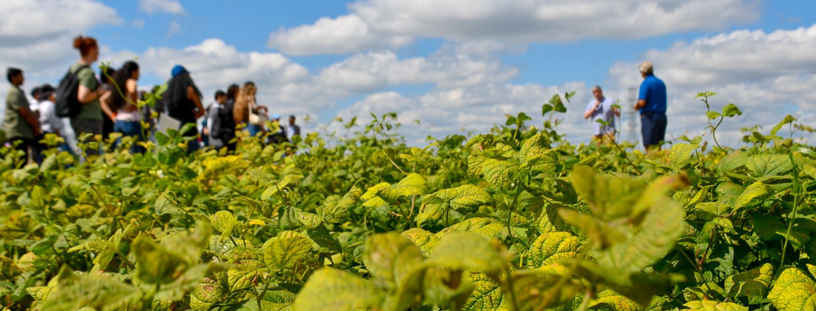 Meet the First Beans Designed with Help From AI 