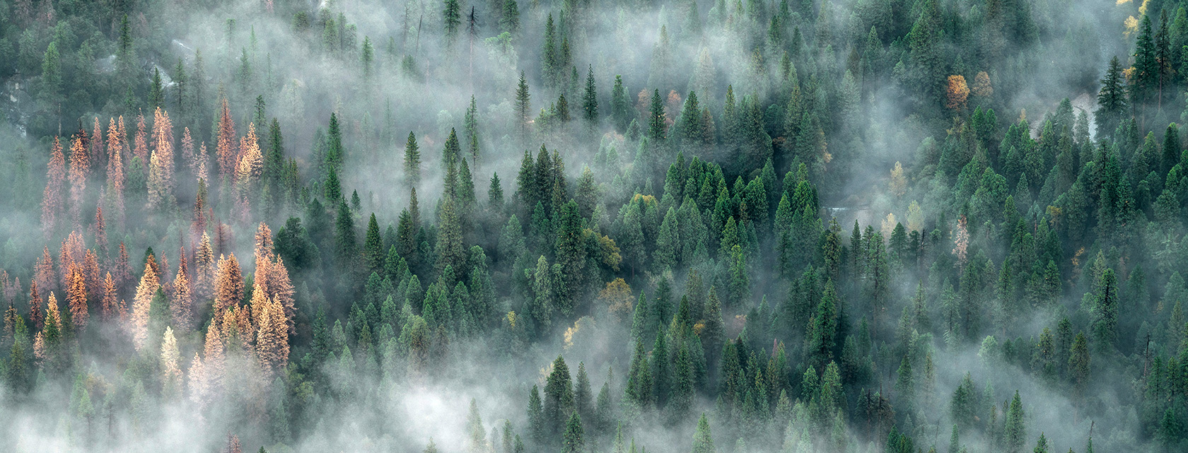 Three Ways to Improve Canada's Wildfire Advisory Capacity | OPINION