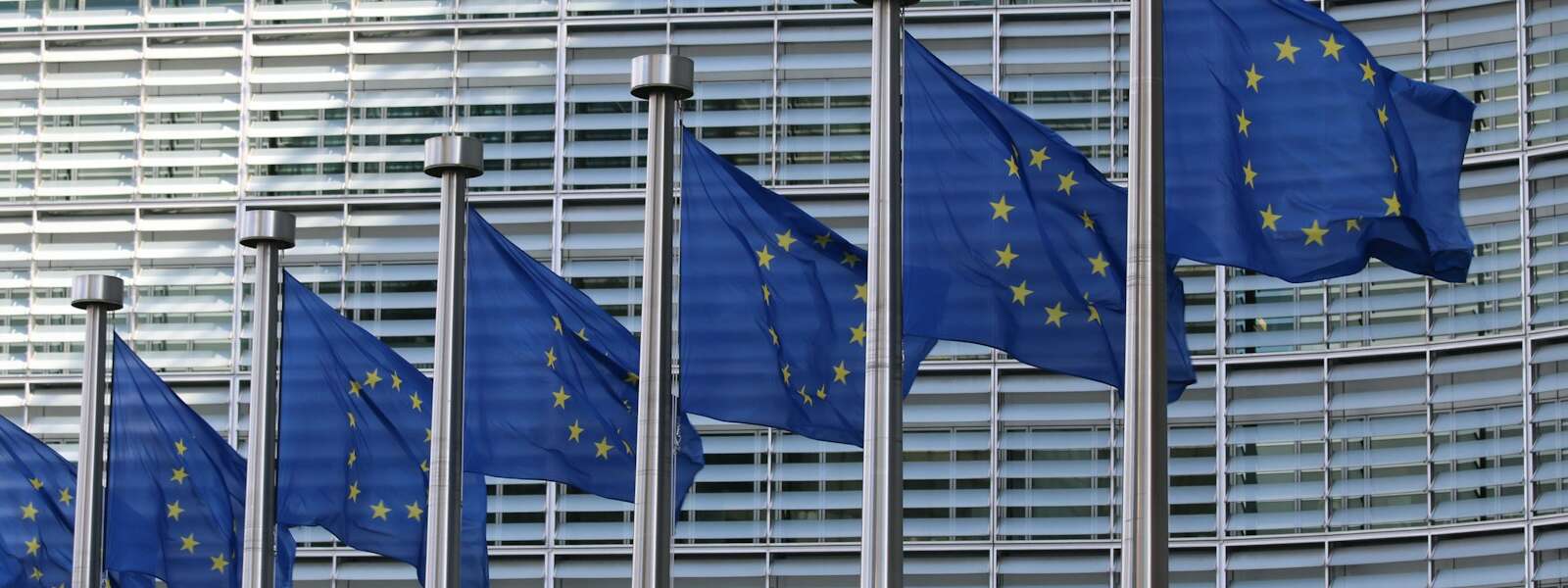 EU Alliance Makes Sense for Canada Amid 'Volatile' U.S. Foreign Policy 