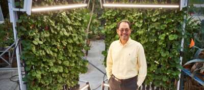Why Vertical Farming Must Be Part of Ontario’s Long-Term Food Planning | OPINION