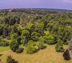 Aerial photo of a forest